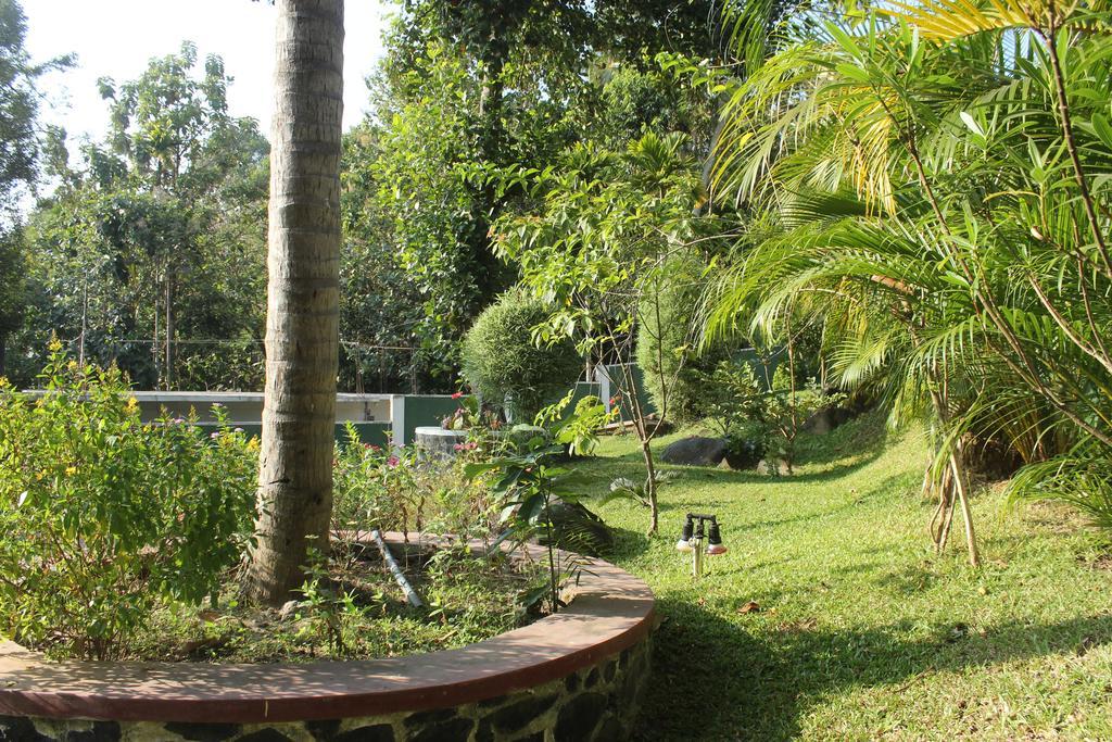 Green View Holiday Resort Kandy Exterior photo
